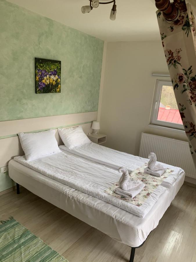 Dorf Haus Valiug Hotel Екстериор снимка