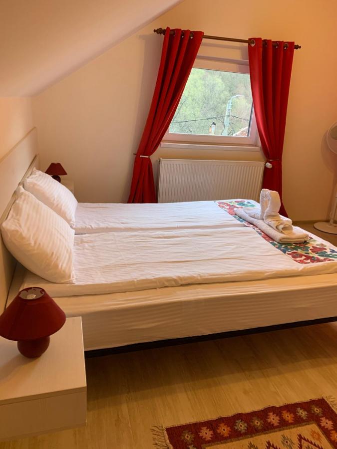 Dorf Haus Valiug Hotel Екстериор снимка